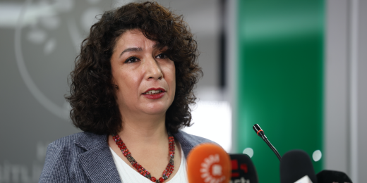 Halide Türkoğlu: Tekçi, cinsiyetçi partilerin belediyelerine mecbur değiliz