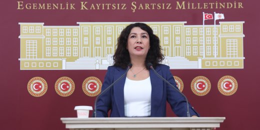 Halide Türkoğlu: Çekin ellerinizi 6284’ten; faili koruyan hiçbir pakete ve düzenlemeye izin vermeyeceğiz